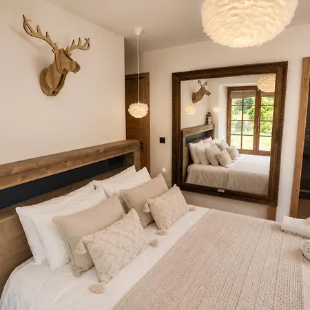 Cosy Avec Vue Exceptionnelle Et Proche Des Pistes Saint-Gervais-les-Bains